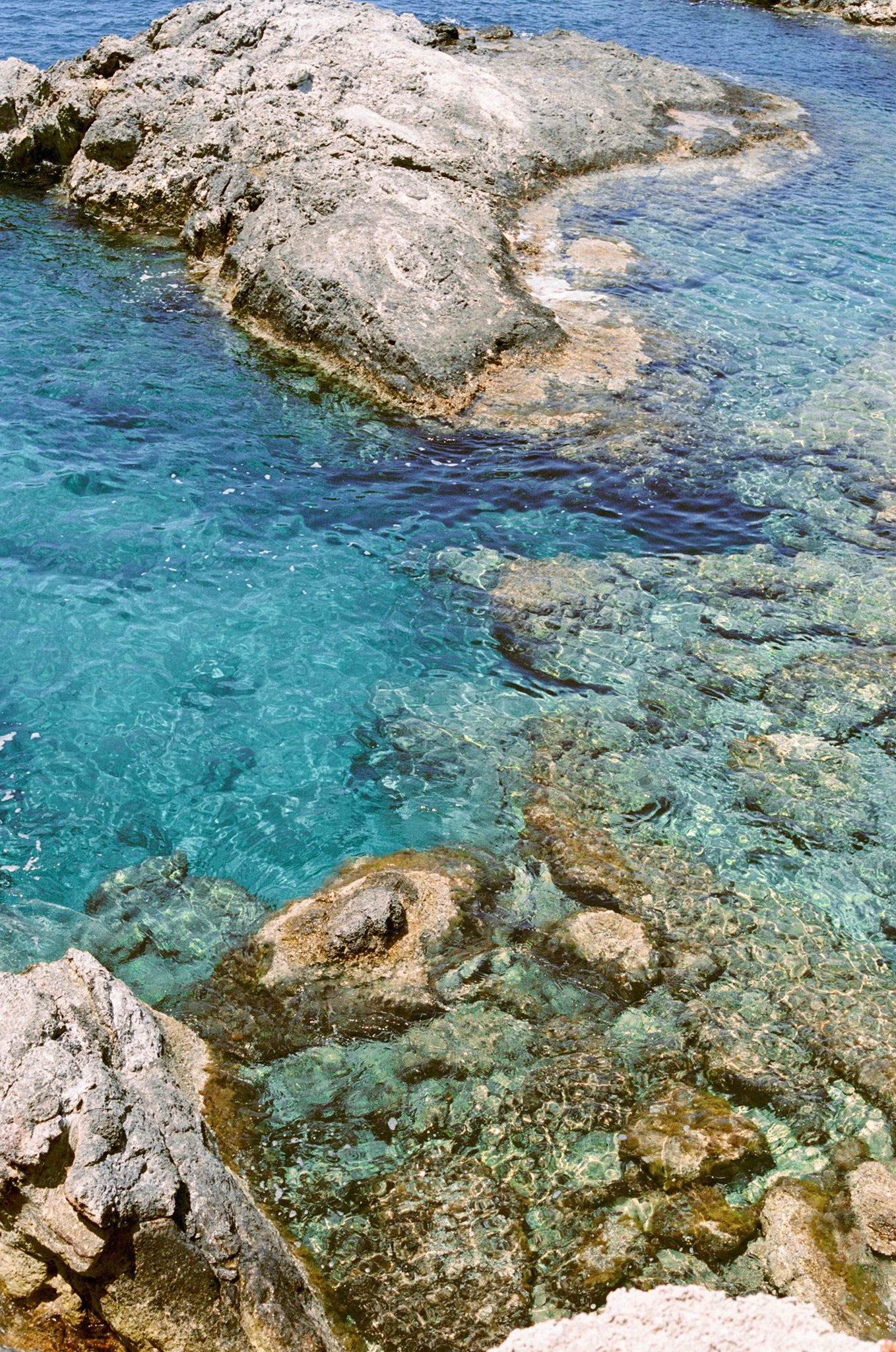 Crystal Clear - Brooke Davies - Photography Print