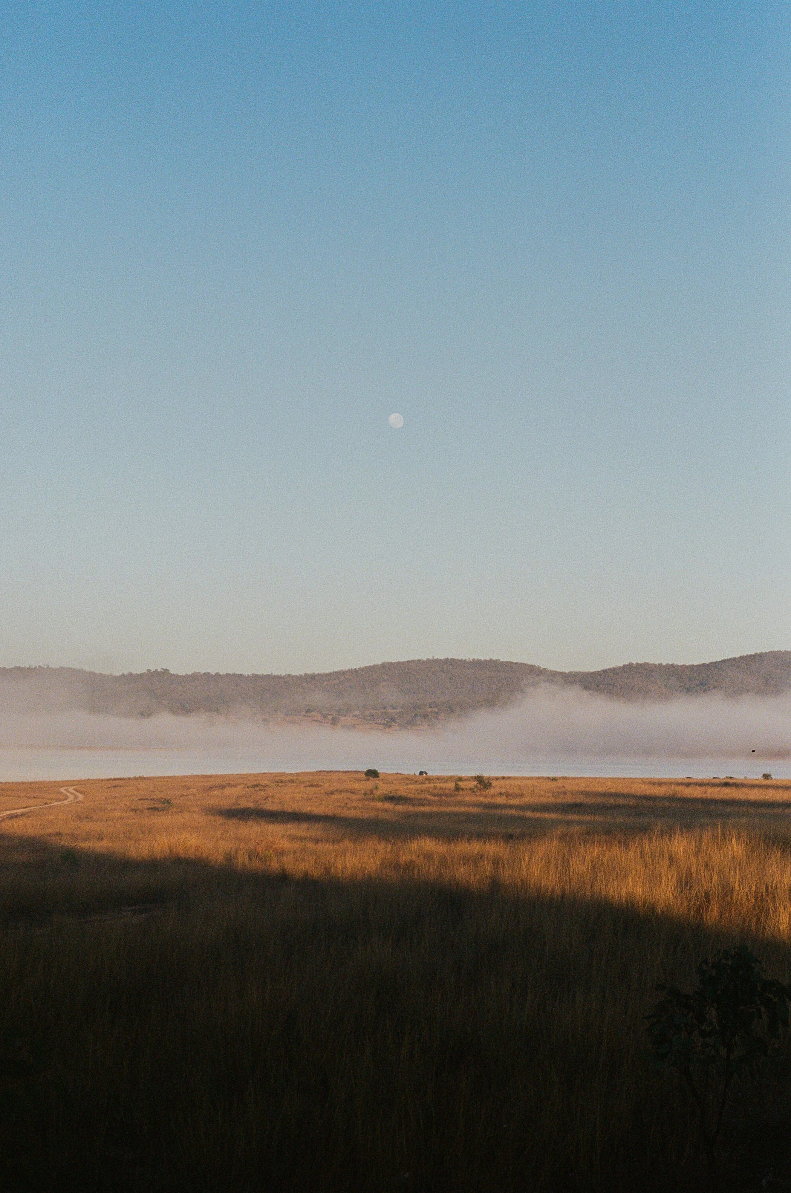 Lunar Morning - Jake McCann - Photography Print