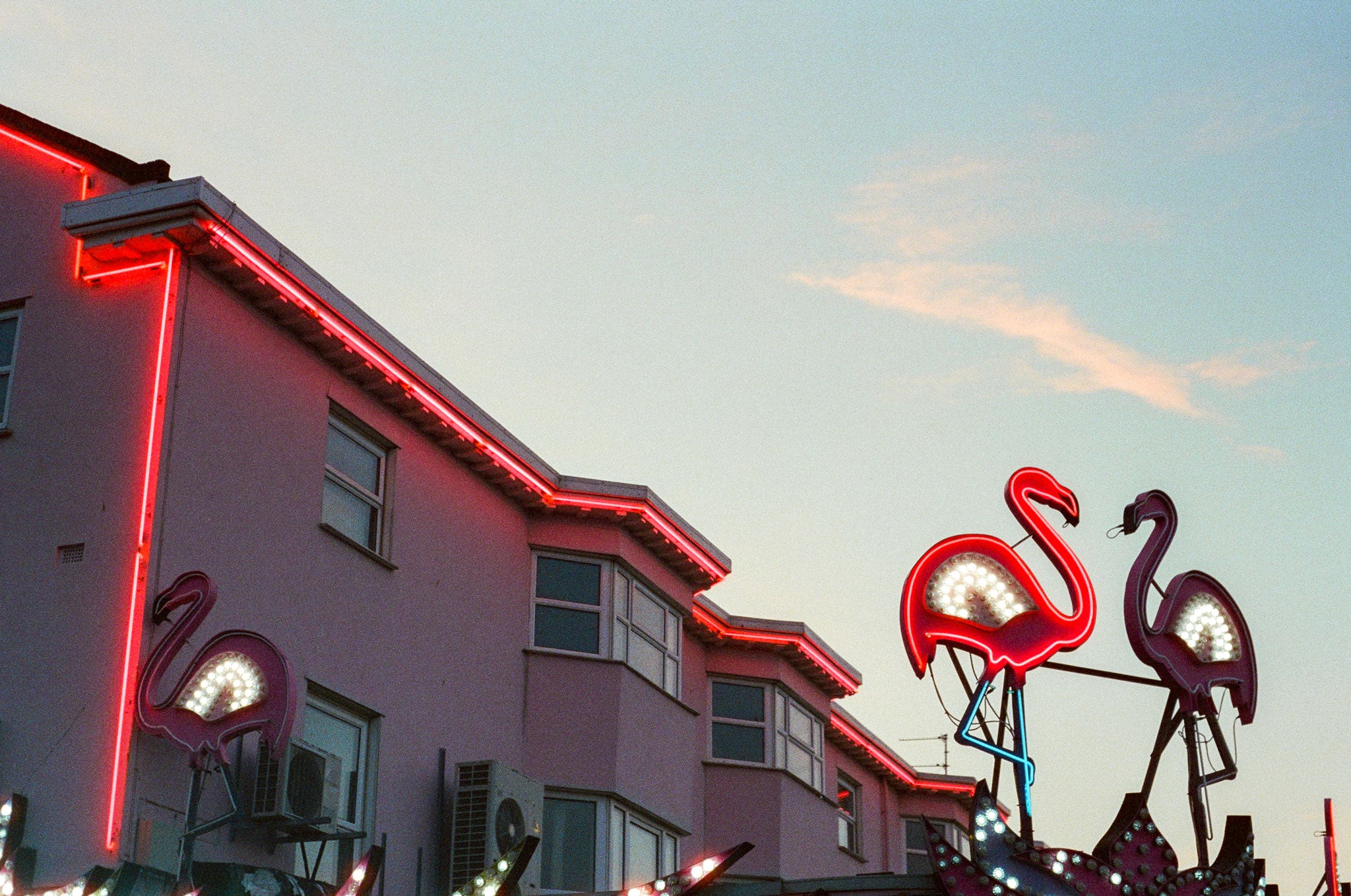 The Flamingo - Matt Yates - Photography Print