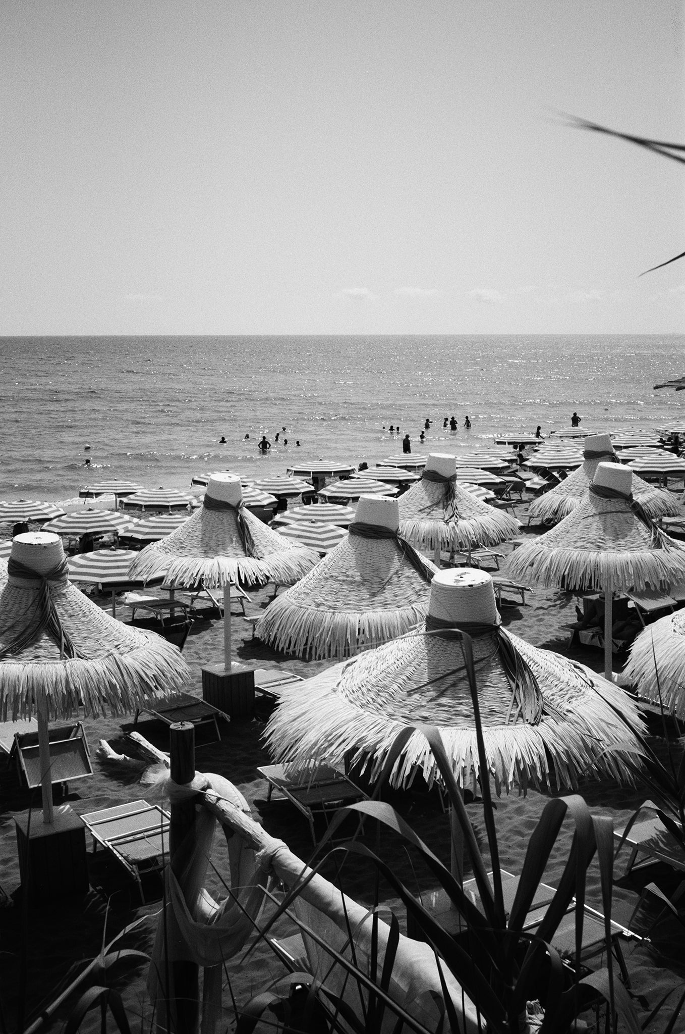 Sicilian Hats - Olivia Finch - Photography Print